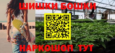 бошки Гатчина