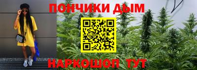 стаф Гагарин
