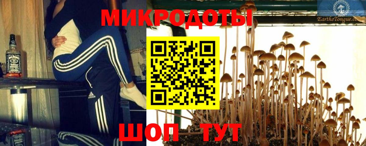 Новошахтинск  Псилоцибиновые грибы GOLDEN TEACHER  Вход с VPN 