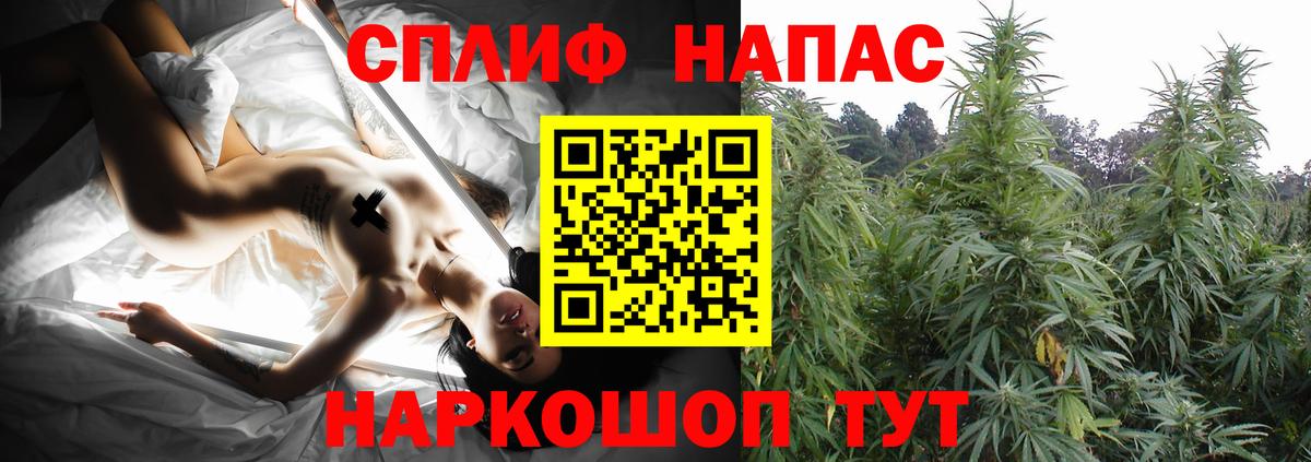 Шишки марихуана ГИДРОПОН  Вход с VPN  Бошки Шишки тримм  Новошахтинск 